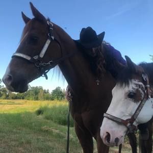 Meet your Posher, Michelle